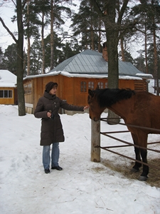 Культурные лошадки