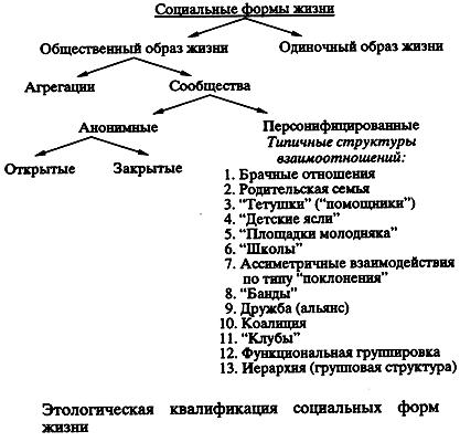 Социальные формы жизни