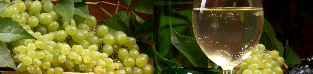 krasnoe-vino-pomozhet-sohranit-pamjat